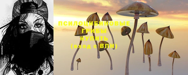 метадон Белокуриха