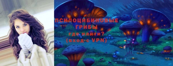 метадон Белокуриха