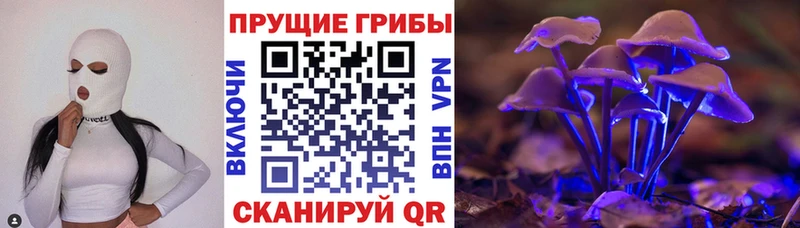 hydra ссылки Олёкминск Псилоцибиновые грибы Cubensis наркота
